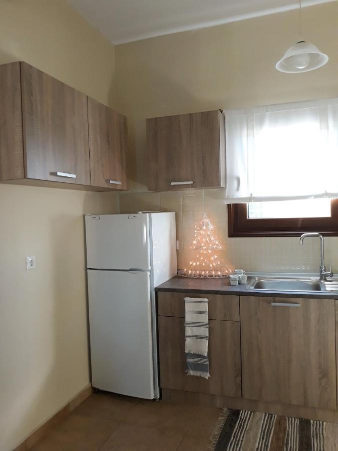 Galini Estate Apartment Karditsa Exterior photo